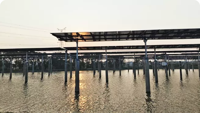 Agrovoltaica (complementariedad pesquero-solar)
